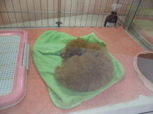 まん丸(*´ω｀*)