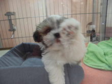 お気に入り(・∀・)