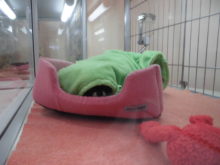 誰かな？(´∀｀)