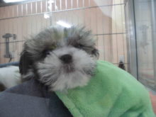 元気いっぱいo(^▽^)o