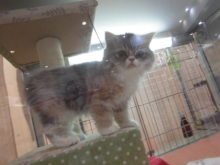 エキゾちゃん(*^_^*)