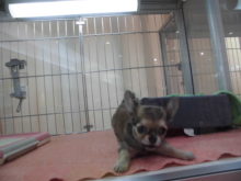 元気いっぱい(´▽｀)