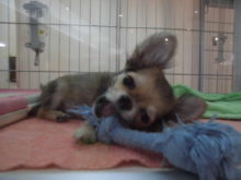 マイペース( ´▽｀)