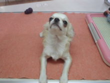 遊ぶの大好き(๑≧౪≦)