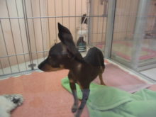 スイッチon(*ﾟ▽ﾟ*)