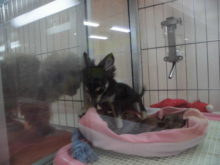 ガラス越しに(^ω^)