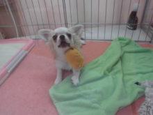 おもちゃ(ﾟ∀ﾟ)