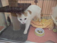 お気に入り(´∀｀*)