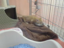 寝起き(￣▽￣)