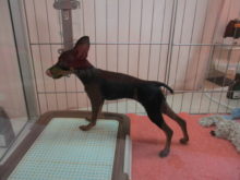 離れられない(´∀｀)