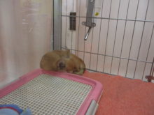 端っこ(*´∀｀)