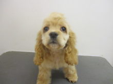 コッちゃんキレイキレイ☆