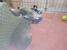 ゴールデンウィーク(*´∀｀)