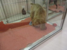 無邪気ヽ(´▽｀)/