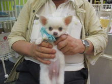 お迎えになりました(^O^)