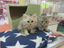 元気が一番(^O^)