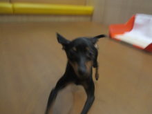 夏は好き？嫌い？(^_^;)