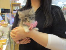 お迎えになりました(´∀｀)