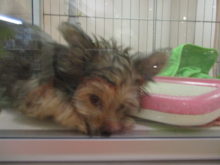 お誘い(*´∀｀)