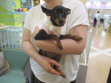 お迎えになりました(*ﾟ∀ﾟ*)