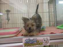 おもちゃ(*´▽｀*)