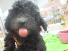 みんな元気いっぱいヽ(・∀・)ノ