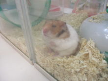 どんより(￣▽￣)