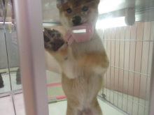 大好き(｡･ ω<)ゞ♡