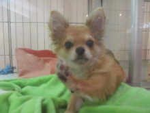 会いに来てね(´∀｀)