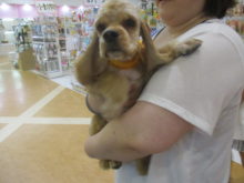 家族が決まりました(*´ω｀*)