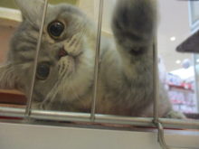 気になる( ´▽｀)