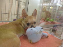 ３連休(*ﾟ∀ﾟ*)