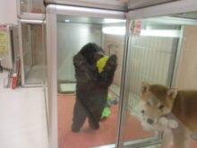 最終日(*´∀｀)