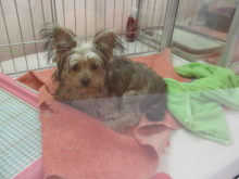 ねむい(｡-_-｡)