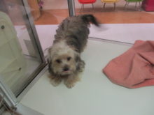 ペロペロ(ﾟ∀ﾟ)