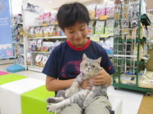 家族が決まりました(*´ω｀*)