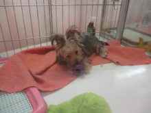 おもちゃ(*ﾟ∀ﾟ*)