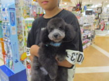 家族が決まりました(^-^)