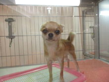 お耳はどこに？？