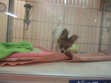 テンション高め(*ﾟ▽ﾟ*)