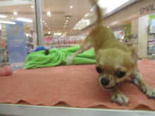 イベント(*^ω^*)