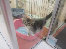 寝起き！？(*´ω｀*)