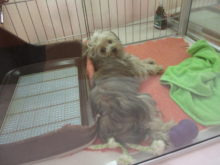 ３連休( ´ ▽ ` )ﾉ