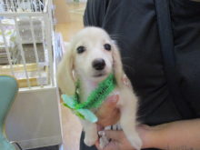 家族が決まりました(*ﾟ∀ﾟ*)