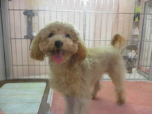 プーちゃん(^O^)