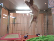 元気いっぱい(((o(*ﾟ▽ﾟ*)o)))