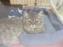 うたた寝(´∀｀)