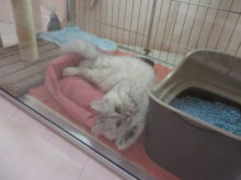 のんびり(´∀｀)