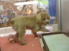 プーちゃんとヨーちゃん(^O^)