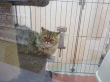 タワー(ﾟ∀ﾟ)